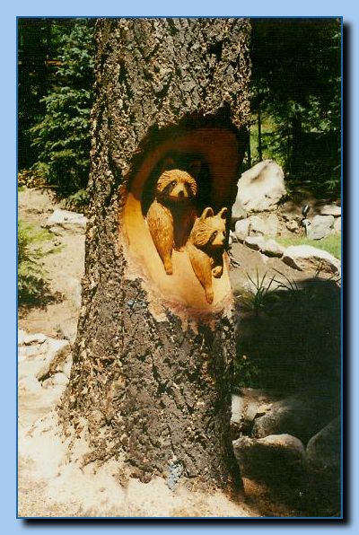 2-10 raccoons carved into tree stump-archive-0002